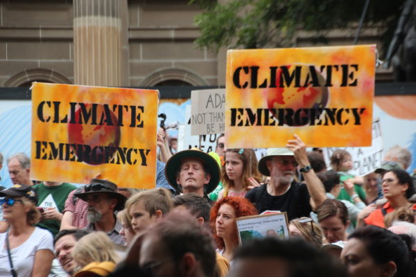 Thousands of scientists declare climate emergency, urge more ...